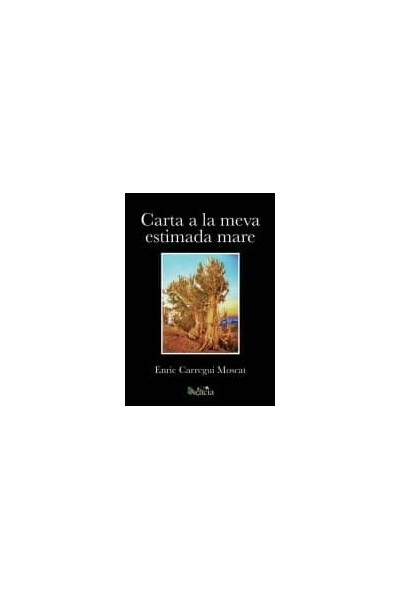 CARTA A LA MEVA ESTIMADA MARE