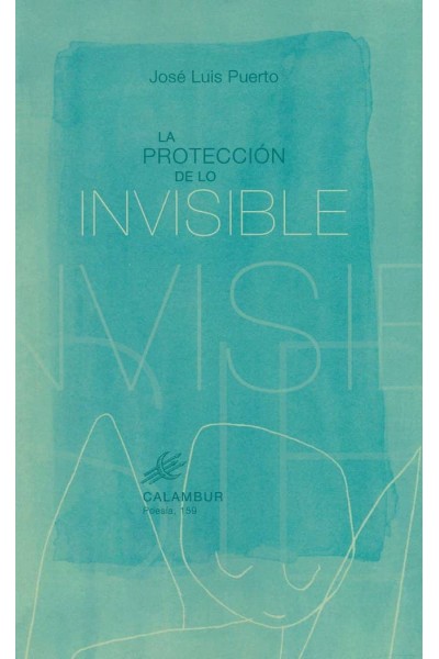 PROTECCION DE LO INVISIBLE