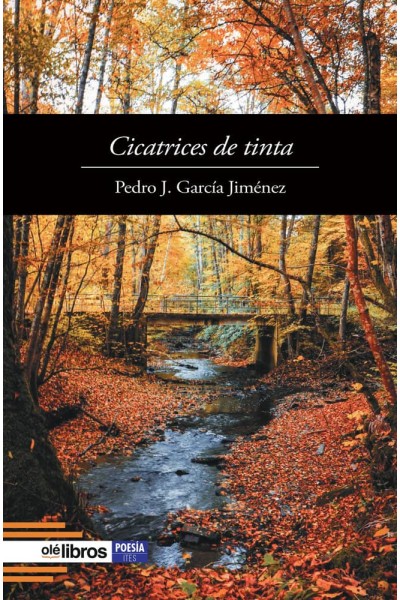 CICATRICES DE TINTA