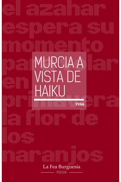 MURCIA A VISTA DE HAIKU