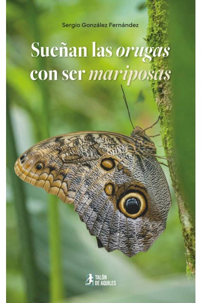 SUEÑAN LAS ORUGAS CON SER MARIPOSAS