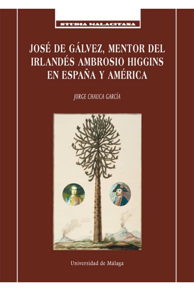 JOSE DE GALVEZ, MENTOR DEL IRLANDES AMBROSIO HIGGINS EN ESPA