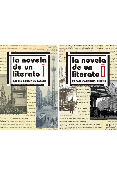 OBRA COMPLETA DE EDICION CRITICA DE LA NOVELA DE UN LTIERATO