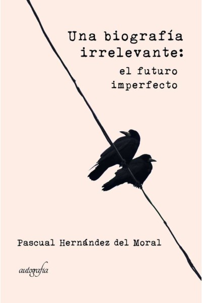 UNA BIOGRAFIA IRRELEVANTE