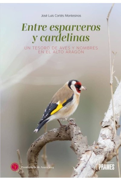 ENTRE ESPARVEROS Y CARDELINAS