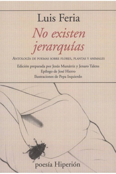 NO EXISTEN JERARQUIAS