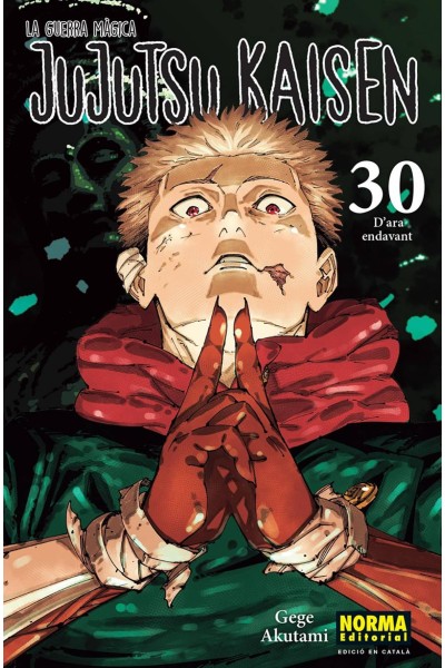 JUJUTSU KAISEN 30 CATALA