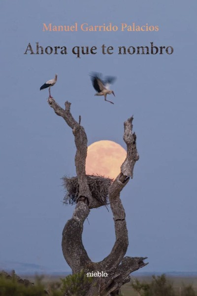 AHORA QUE TE NOMBRO