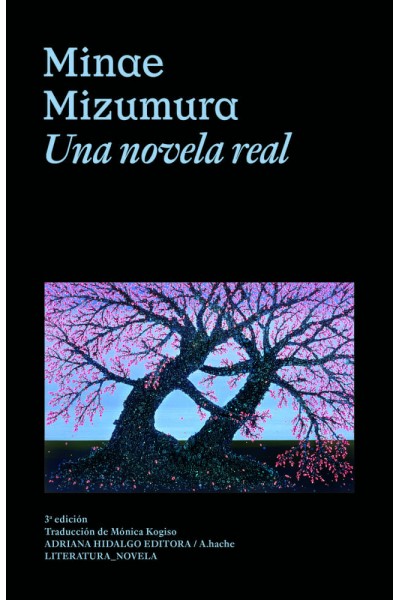 UNA NOVELA REAL
