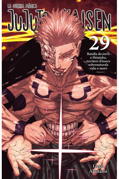 JUJUTSU KAISEN 29 CATALA