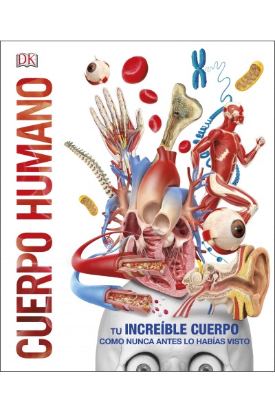CUERPO HUMANO