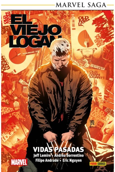 VIEJO LOGAN:VIDAS PASADAS