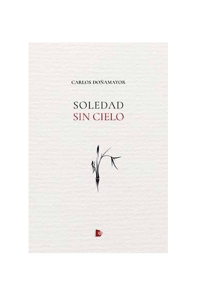 SOLEDAD SIN CIELO