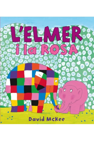 LELMER I LA ROSA PRIMERES LECTURES