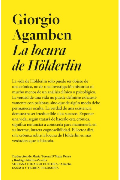 LOCURA DE HOLDERLIN,LA