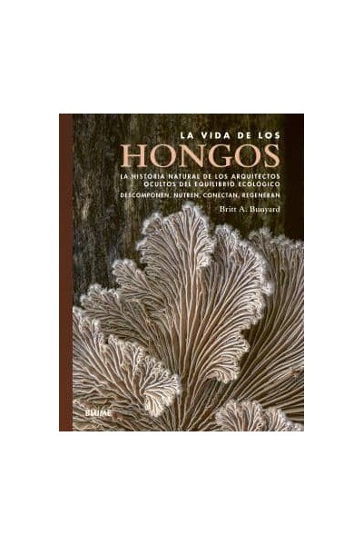 VIDA DE LOS HONGOS