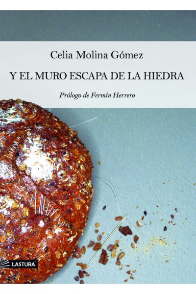 Y EL MURO ESCAPA DE LA HIEDRA