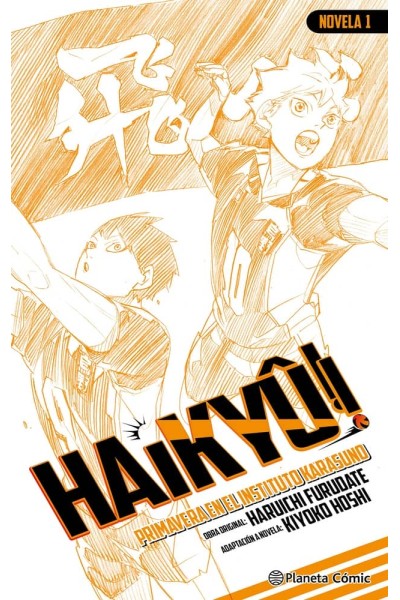 HAIKYU NOVELA 1