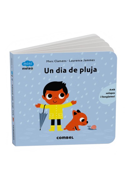 UN DIA DE PLUJA