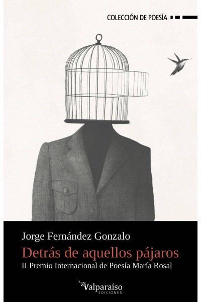 DETRÁS DE AQUELLOS PÁJAROS