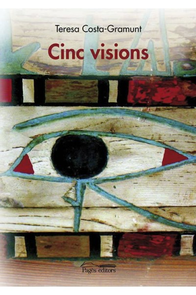CINC VISIONS