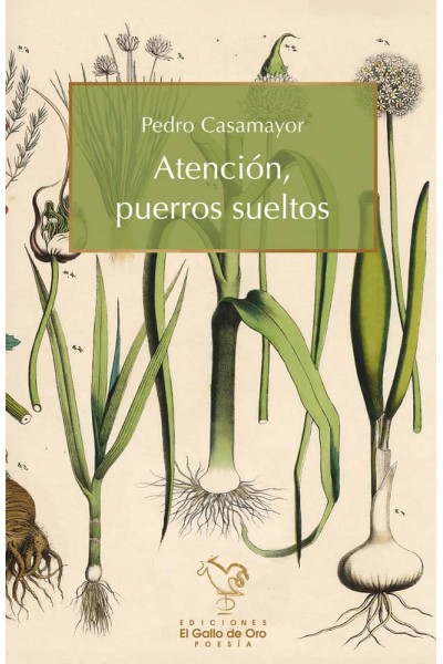 ATENCIN, PUERROS SUELTOS
