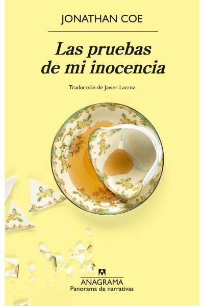 LAS PRUEBAS DE MI INOCENCIA