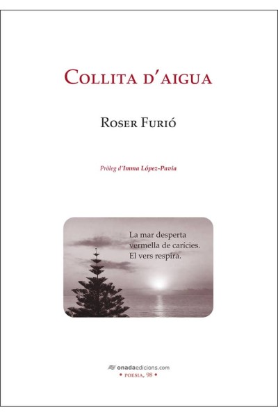 COLLITA D'AIGUA