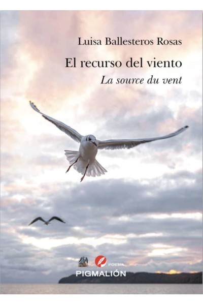 EL RECURSO DEL VIENTO LA SOURCE DU VENT