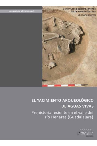 YACIMIENTO ARQUEOLOGICO DE AGUAS VIVAS,EL
