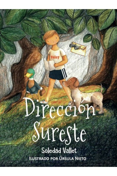 DIRECCION SURESTE