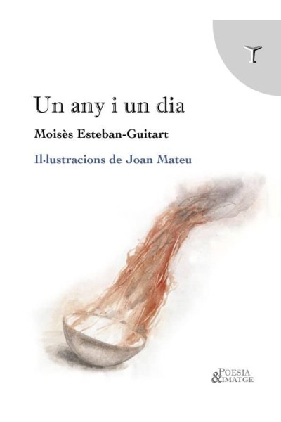UN ANY I UN DIA