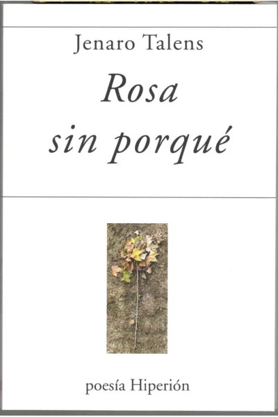 ROSA SIN PORQUE