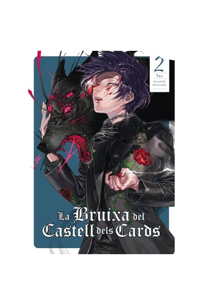 LA BRUIXA DEL CASTELL DELS CARDS 2