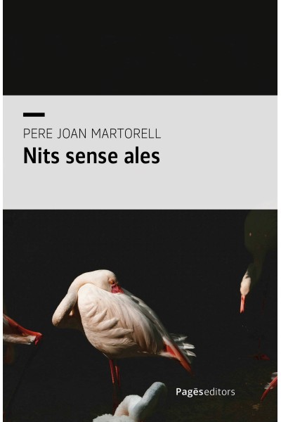 NITS SENSE ALES