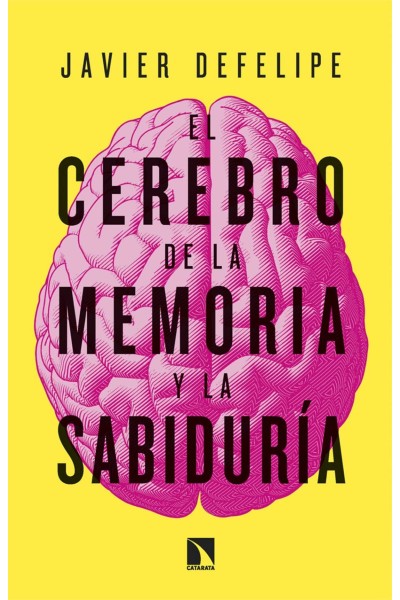EL CEREBRO DE LA MEMORIA Y LA SABIDURÍA