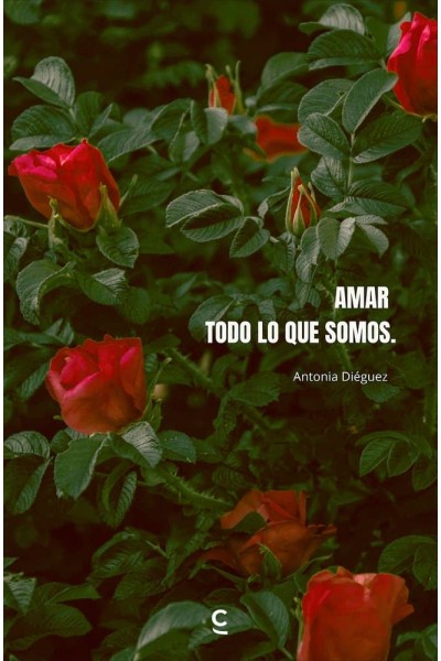 AMAR TODO LO QUE SOMOS