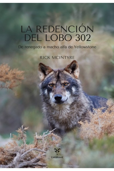 LA REDENCIÓN DEL LOBO 302