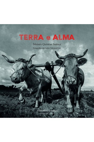 TERRA E ALMA