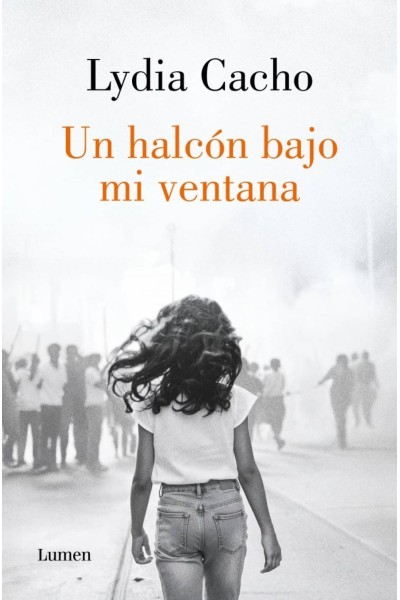 UN HALCÓN BAJO MI VENTANA