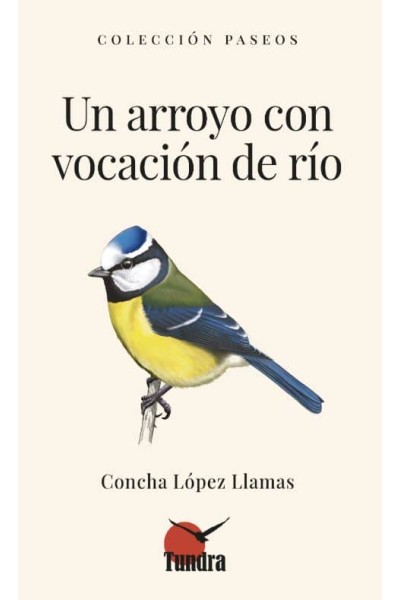 UN ARROYO CON VOCACIÓN DEL RÍO