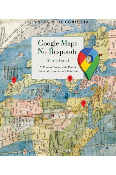 GOOGLE MAPS NO RESPONDE