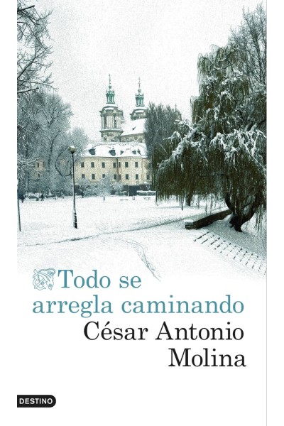 TODO SE ARREGLA CAMINANDO