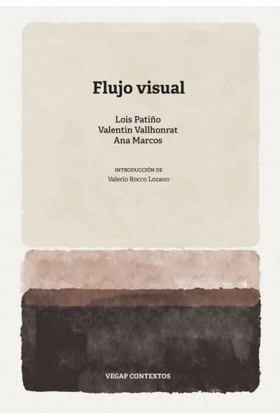 FLUJO VISUAL