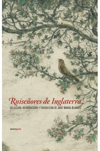 RUISEÑORES DE INGLATERRA