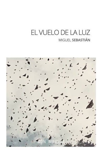 VUELO DE LA LUZ,EL