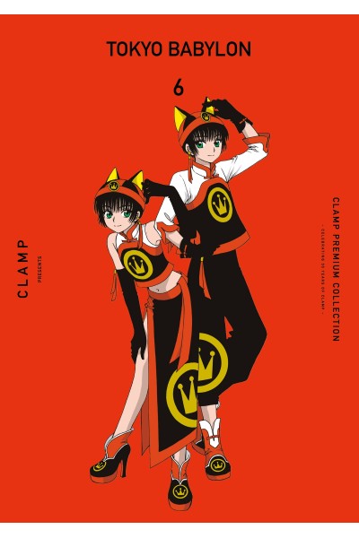 TOKYO BABYLON Nº 06