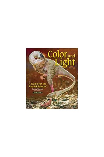 COLOR AND LIGHT