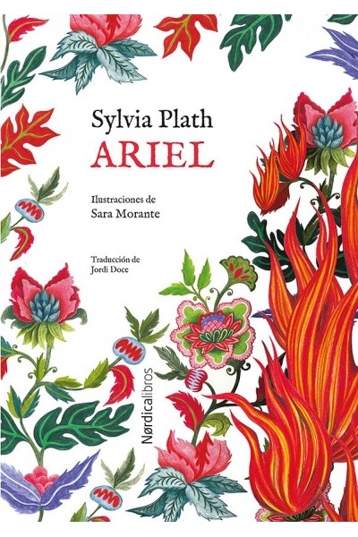 ED. ESPECIAL ARIEL
