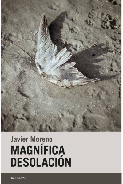 MAGNIFICA DESOLACION
